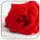 Romantic Love Pics