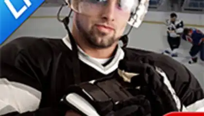 Hockey Fight Lite