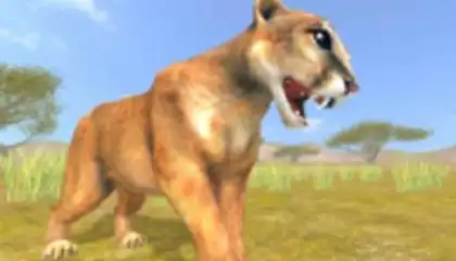 Puma Survival