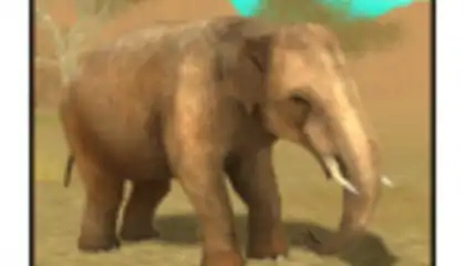 Wild Elephant Sim 3D