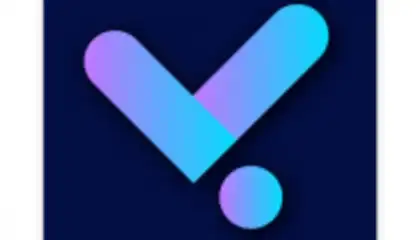 Vest VPN