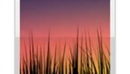 Live Wallpaper Picker
